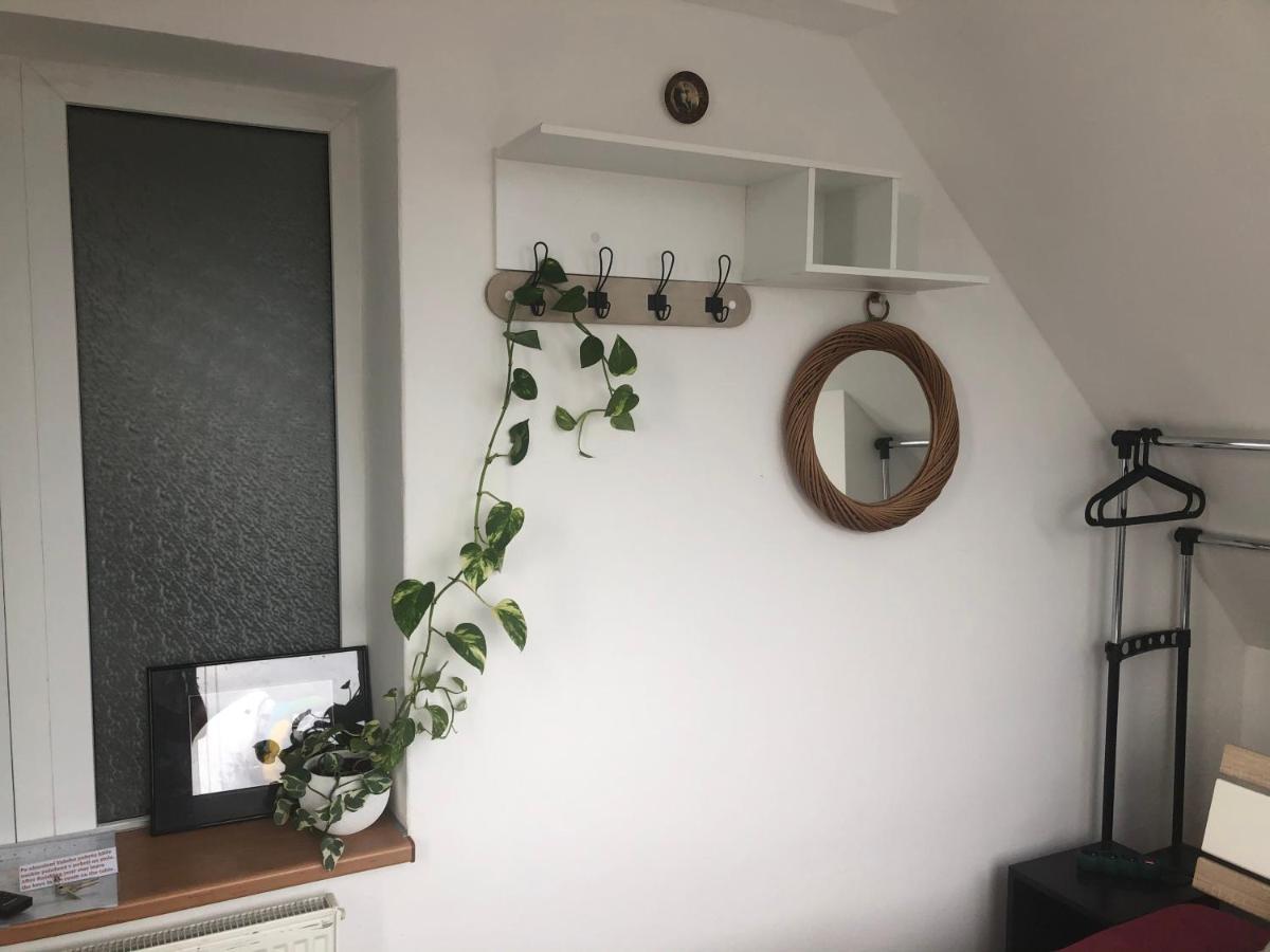 Homestay U Hanky Здиби Екстер'єр фото